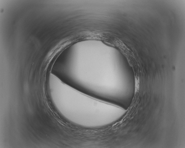X0000083980291200702160759