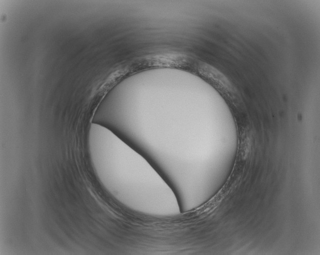 X0000083980310200702160759