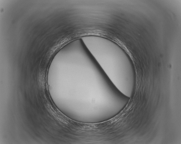 X0000083980386200702160758