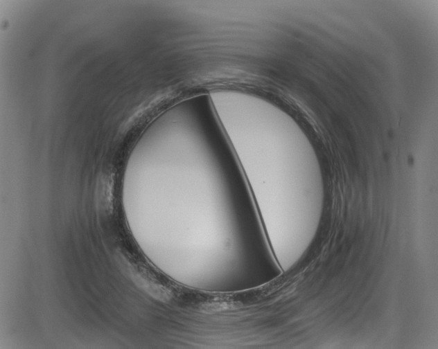 X0000083980404200702160758