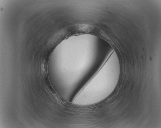 X0000083980424200702160757