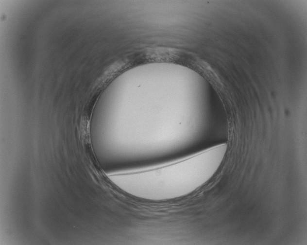 X0000083980429200702160757
