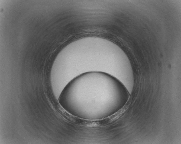 X0000083980456200702160757