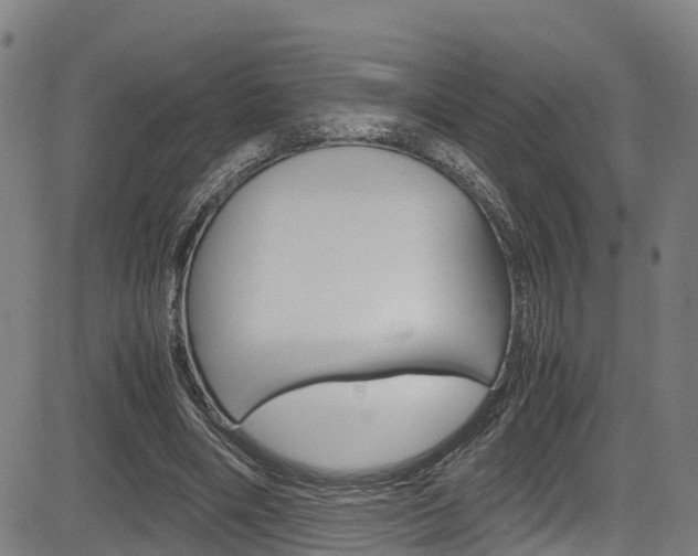 X0000083980490200702160756