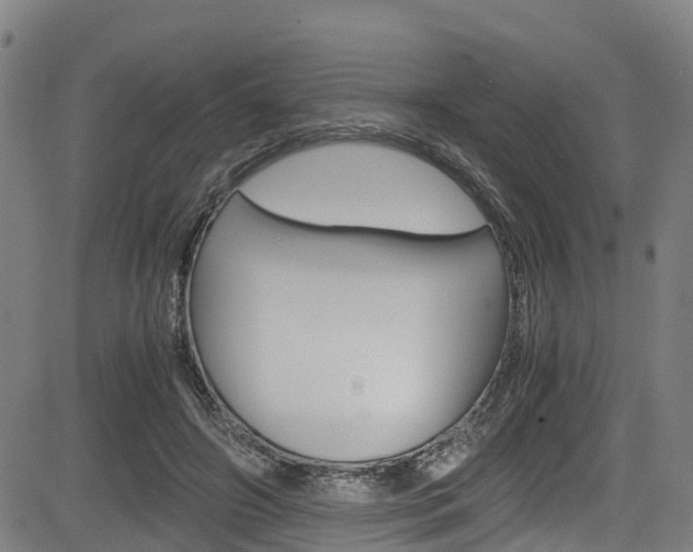 X0000083980498200702160756