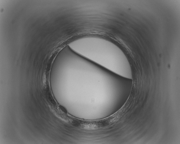 X0000083980500200702160756