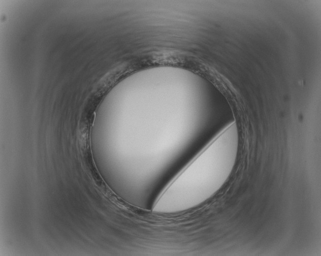 X0000083980513200702160756
