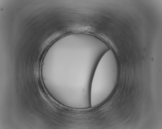 X0000083980582200702160755