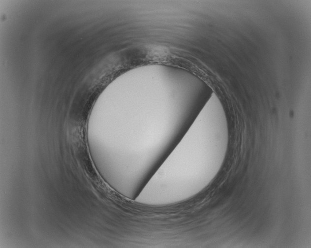 X0000083980603200702160754