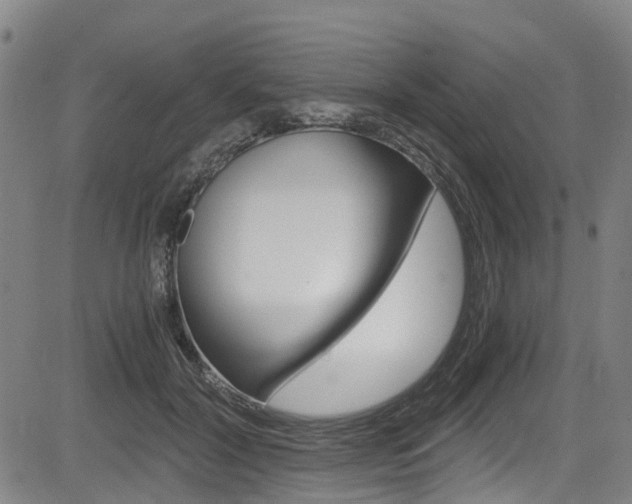X0000083980604200702160754