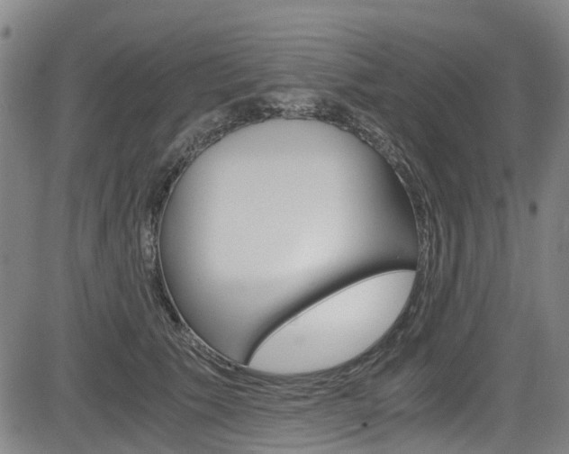 X0000083980609200702160754