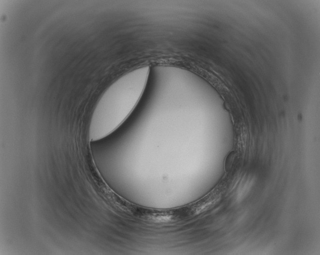 X0000083980651200702160754