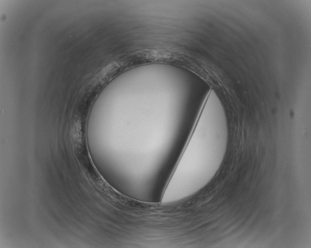 X0000083980700200702160753