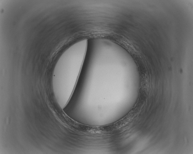 X0000083980742200702160752