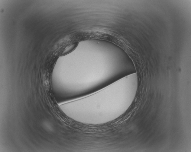 X0000083980771200702160752