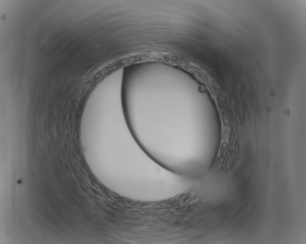 X0000083980773200702160752