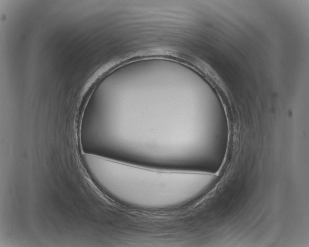 X0000083980789200702160751