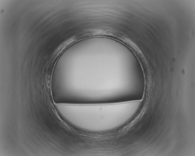 X0000083980793200702160751