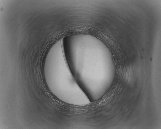 X0000083980817200702160750