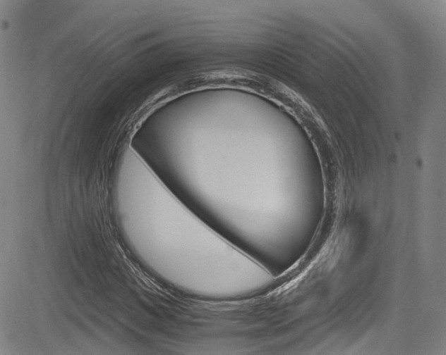 X0000083980825200702160750