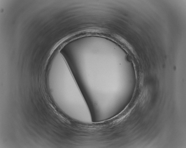 X0000083980829200702160750