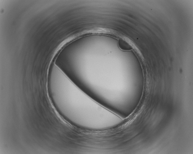 X0000083980845200702160751