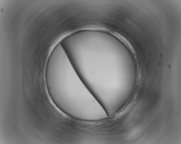 X0000083980855200702160751