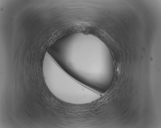 X0000083980867200702160750