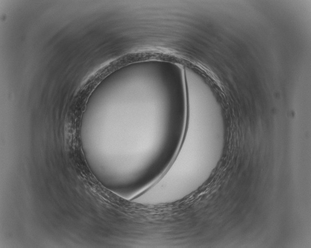 X0000083980872200702160750