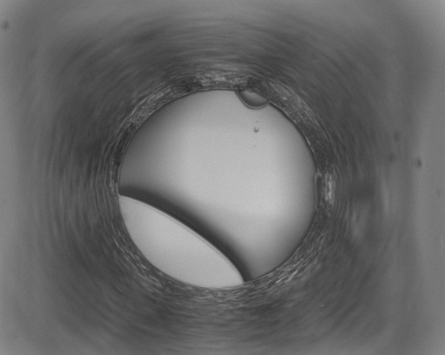 X0000083980915200702160749