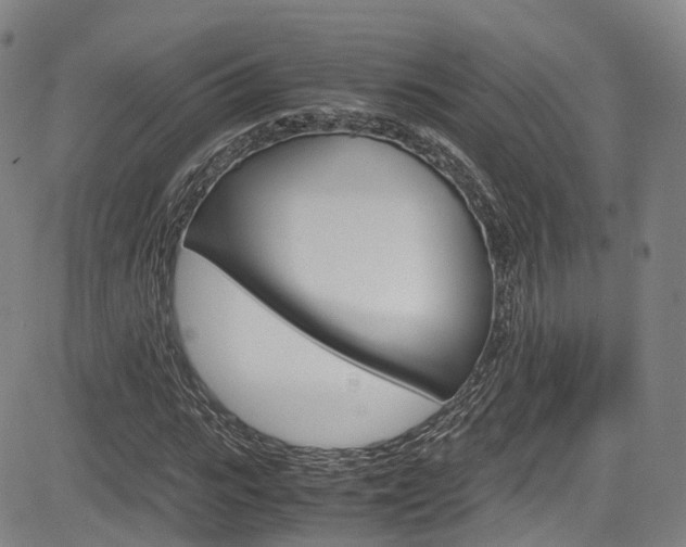 X0000083980919200702160749