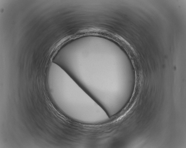 X0000083980921200702160749