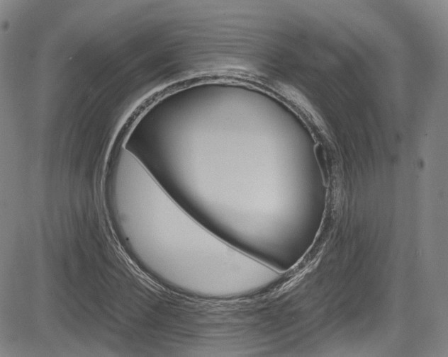 X0000083980924200702160749