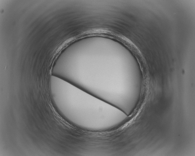 X0000083980929200702160749