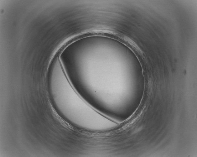 X0000083980934200702160749