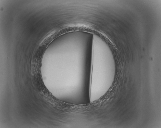X0000083980967200702160748