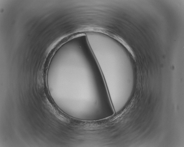 X0000083980972200702160748