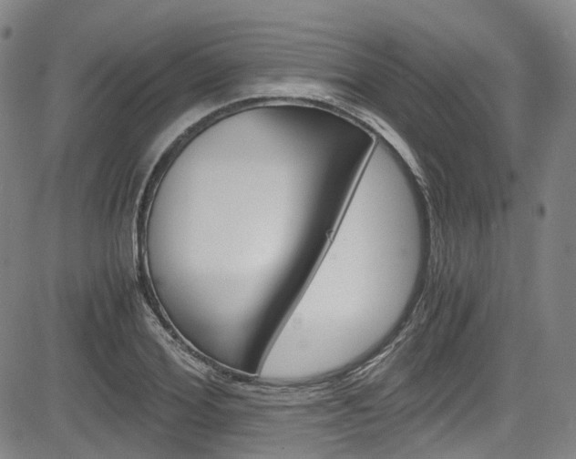 X0000083980980200702160748