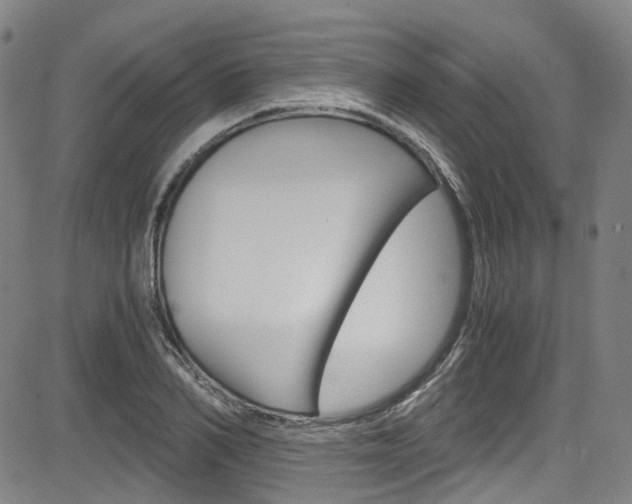 X0000083980982200702160748