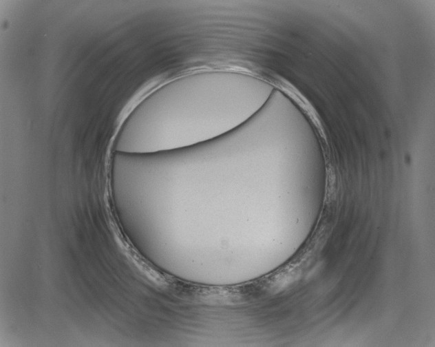 X0000083981002200702160748