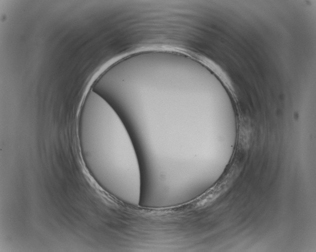 X0000083981004200702160748