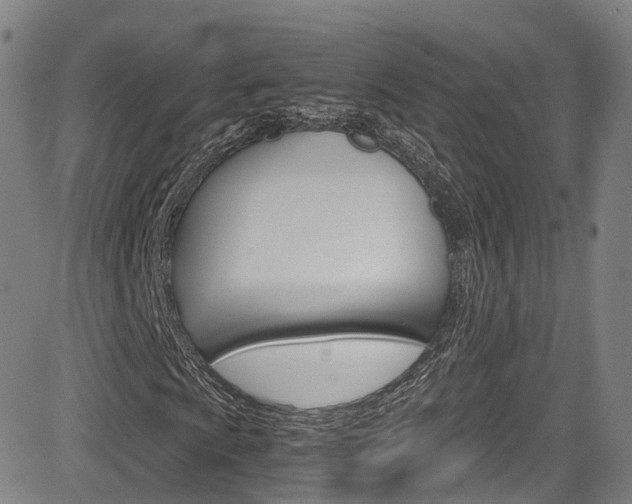 X0000083981009200702160747