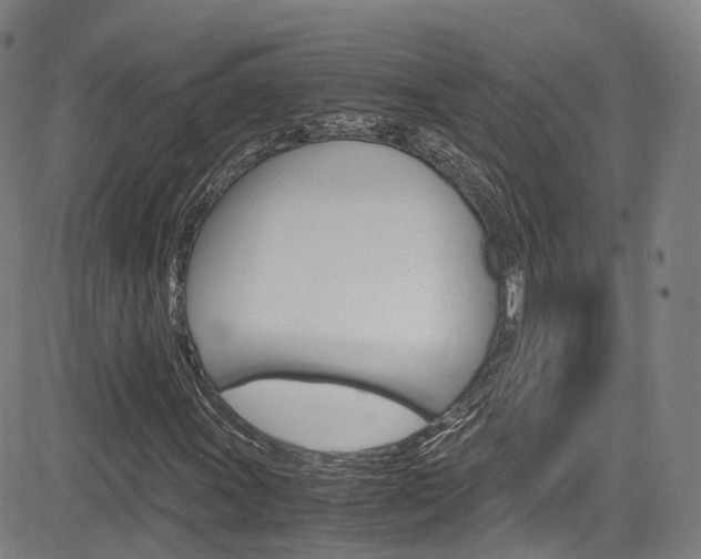 X0000083981011200702160747