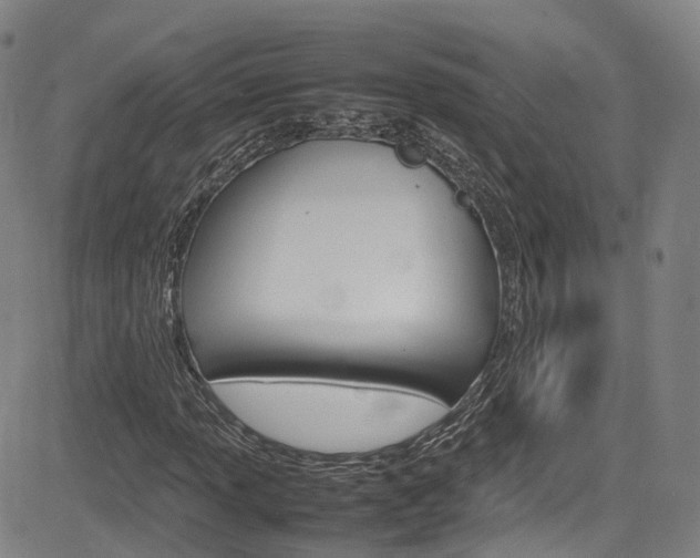 X0000083981013200702160747