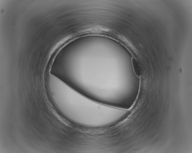 X0000083981026200702160747