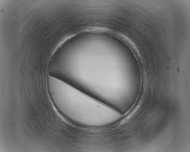 X0000083981041200702160748