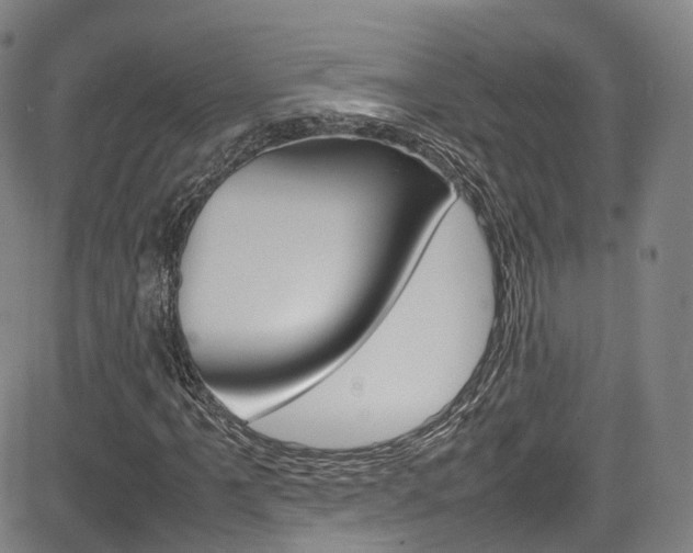 X0000083981061200702160747