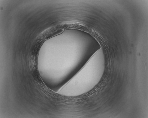 X0000083981062200702160747