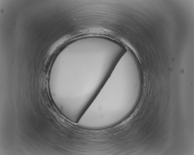 X0000083981067200702160747
