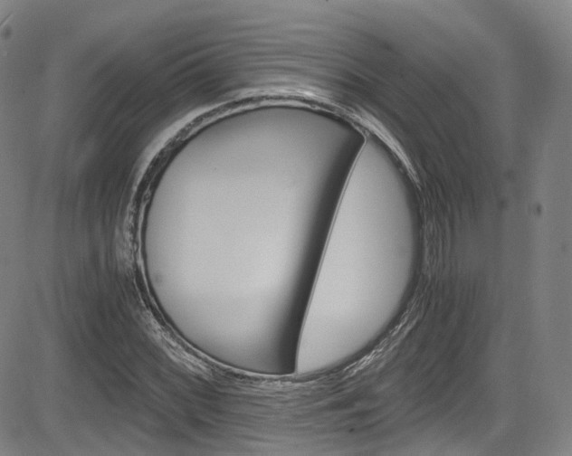 X0000083981068200702160747